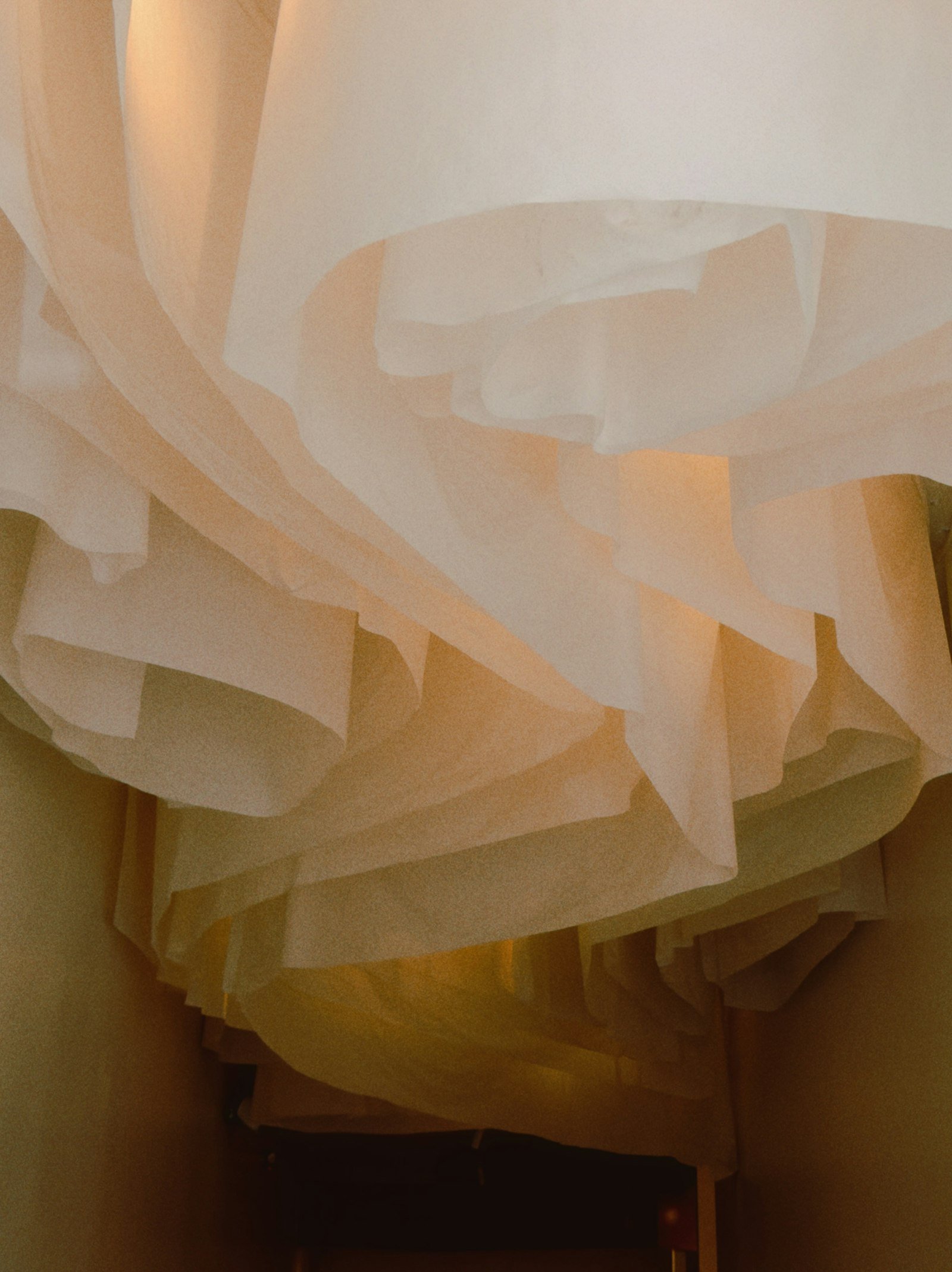 Layers of sheer fabric falling in warm light